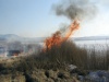 Пожар на степных участках заповедника «Хакасский»